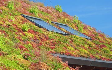 Burren living roof systems