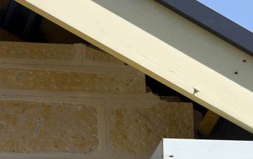 soffit repair Burren